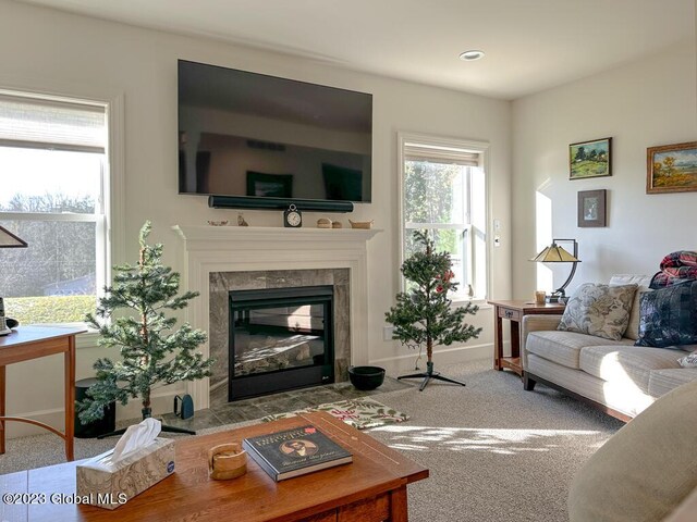 living room with carpet floors and a fireplace