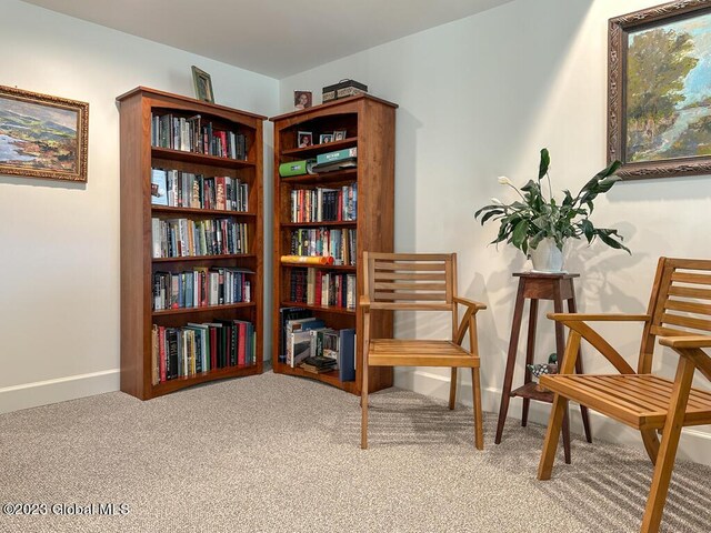 living area featuring carpet