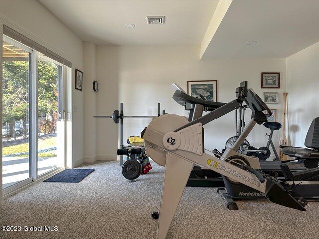 workout area with carpet floors