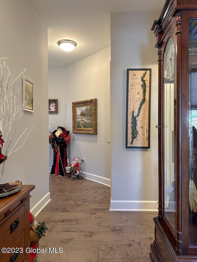 corridor featuring dark hardwood / wood-style floors