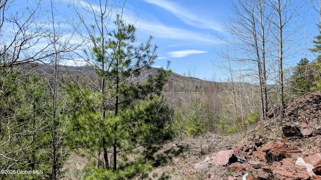 L3.5 County Route 24/e Off, Granville, NY 12832 - photo 1