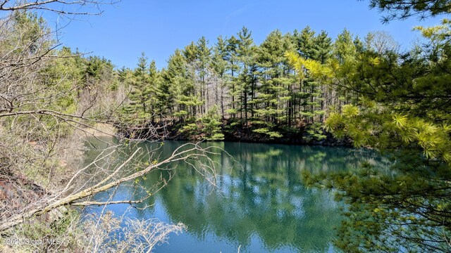 L3.5 County Route 24/e Off, Granville, NY 12832 - photo 2