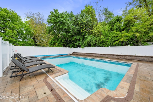 view of swimming pool with a patio area