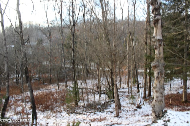 view of snow covered land