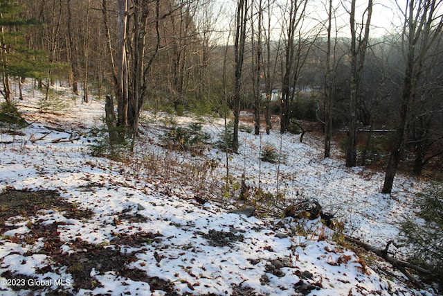 view of snow covered land