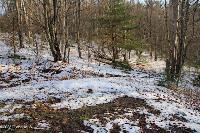 view of snowy view