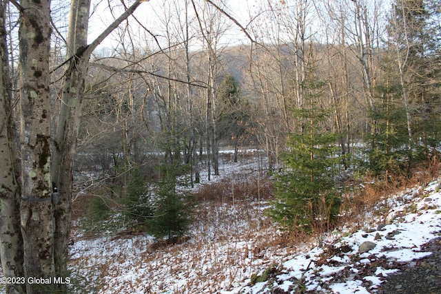 view of water feature