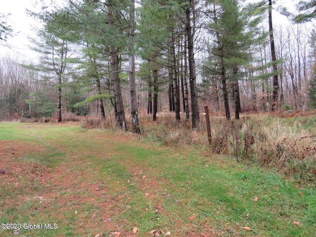 view of local wilderness