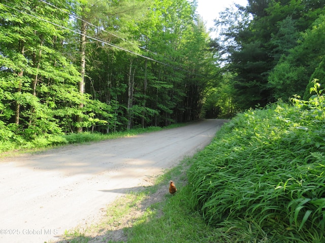239 Bowlers Hill Rd, Gloversville, NY 12078 - photo 3
