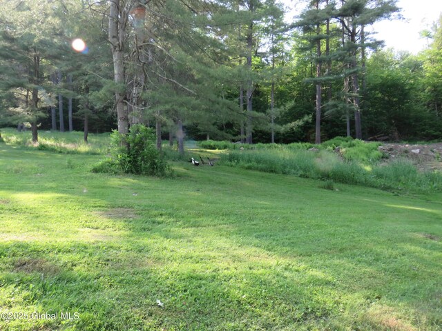239 Bowlers Hill Rd, Gloversville, NY 12078 - photo 12
