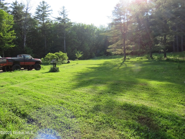 239 Bowlers Hill Rd, Gloversville, NY 12078 - photo 14