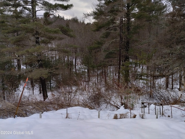 view of snow covered land