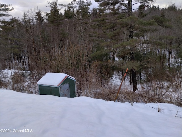 yard covered in snow featuring a storage unit