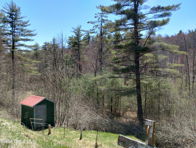 view of yard with a storage shed