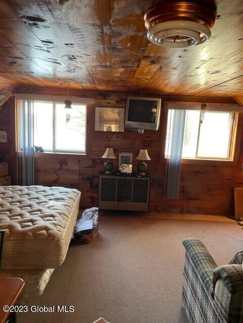 bedroom featuring carpet, wood walls, and multiple windows