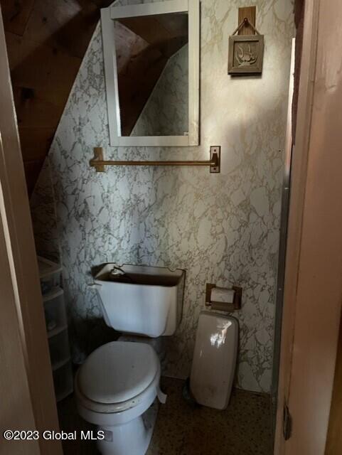 bathroom featuring toilet