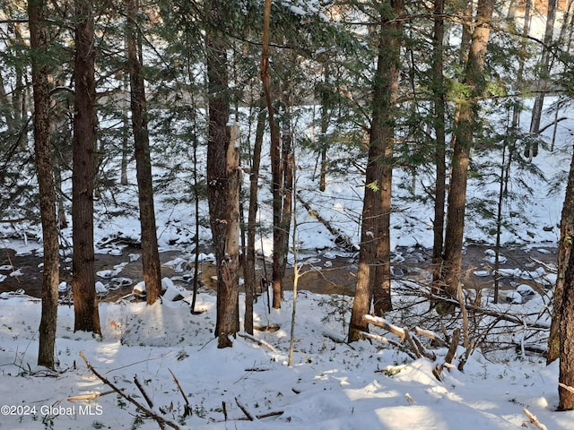 L17 Rice Rd, Hope, NY 12134 - photo 4
