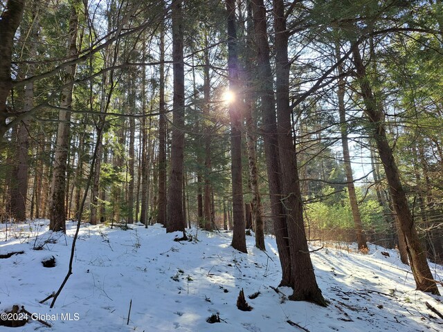 L17 Rice Rd, Hope, NY 12134 - photo 5