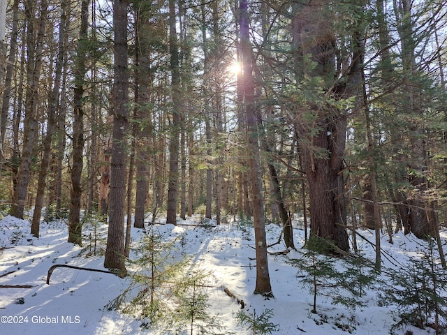L17 Rice Rd, Hope, NY 12134 - photo 8