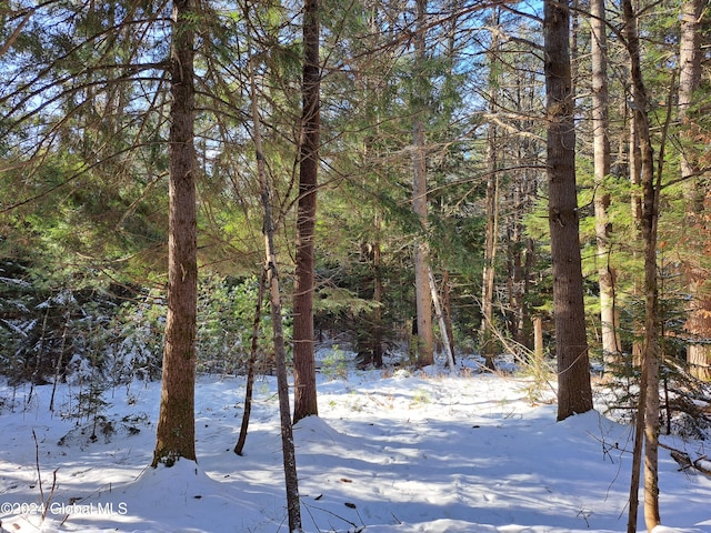 L17 Rice Rd, Hope, NY 12134 - photo 12