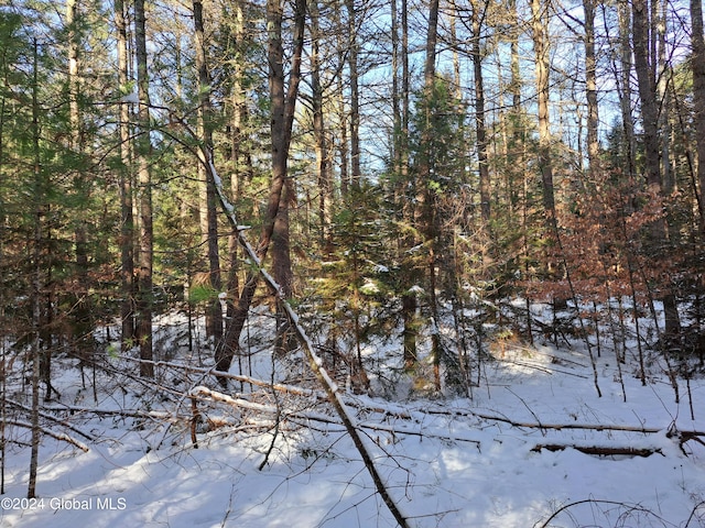 L17 Rice Rd, Hope, NY 12134 - photo 13