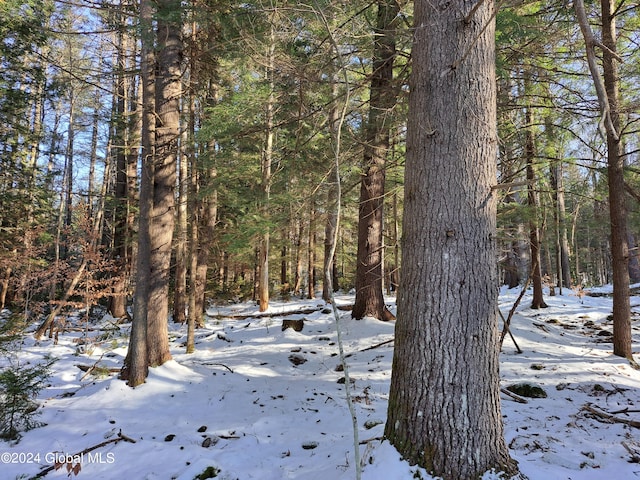 L17 Rice Rd, Hope, NY 12134 - photo 14