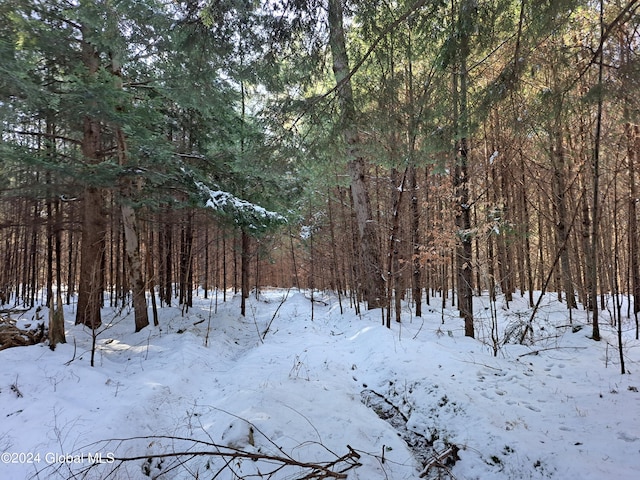 L17 Rice Rd, Hope, NY 12134 - photo 16