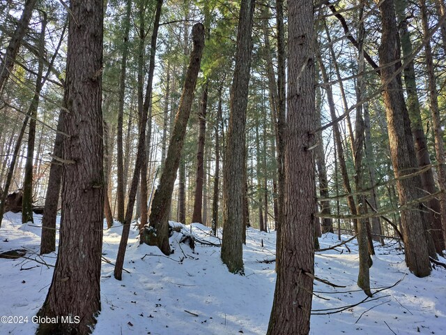 L17 Rice Rd, Hope, NY 12134 - photo 18