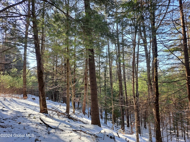 L17 Rice Rd, Hope, NY 12134 - photo 19