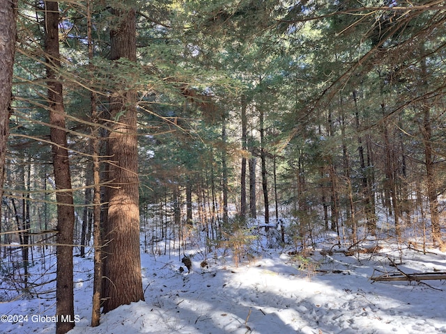 L17 Rice Rd, Hope, NY 12134 - photo 20