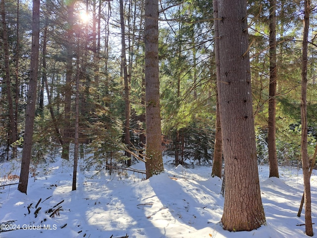 L17 Rice Rd, Hope, NY 12134 - photo 21
