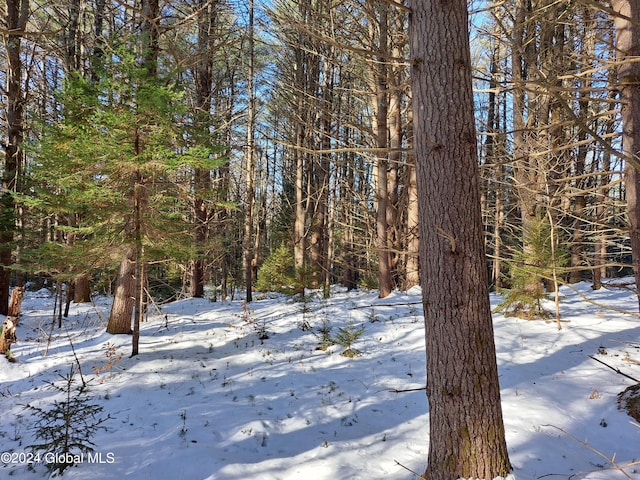 L17 Rice Rd, Hope, NY 12134 - photo 22