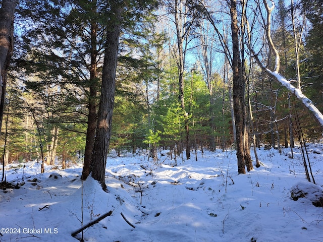 L17 Rice Rd, Hope, NY 12134 - photo 23