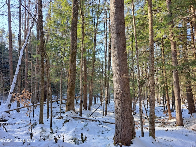 L17 Rice Rd, Hope, NY 12134 - photo 24