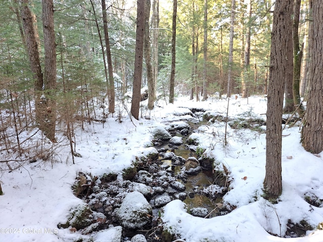 L17 Rice Rd, Hope, NY 12134 - photo 25