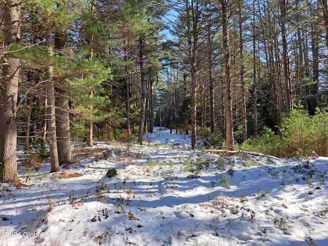 L17 Rice Rd, Hope, NY 12134 - photo 27