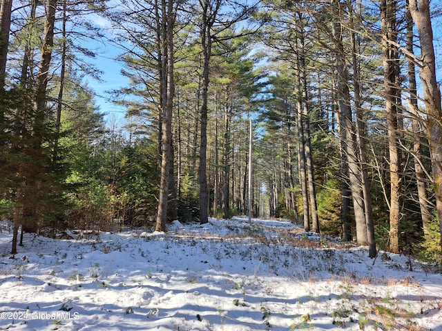 L17 Rice Rd, Hope, NY 12134 - photo 28