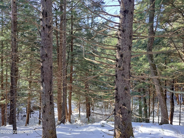 L17 Rice Rd, Hope, NY 12134 - photo 33