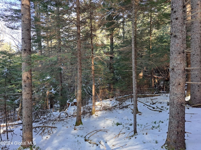 L17 Rice Rd, Hope, NY 12134 - photo 34