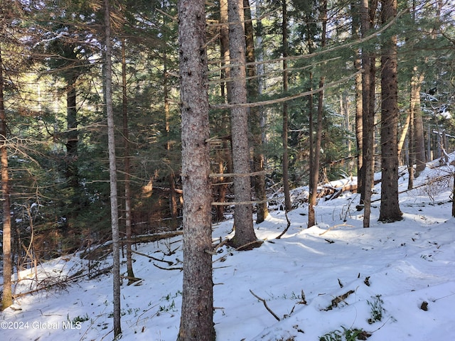 L17 Rice Rd, Hope, NY 12134 - photo 35