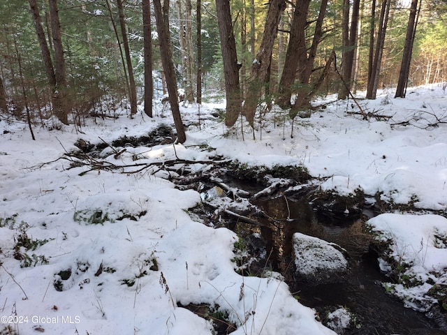 L17 Rice Rd, Hope, NY 12134 - photo 39