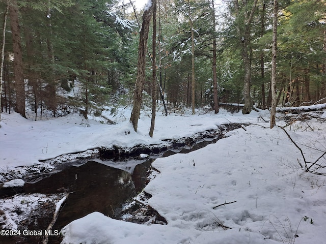 L17 Rice Rd, Hope, NY 12134 - photo 40