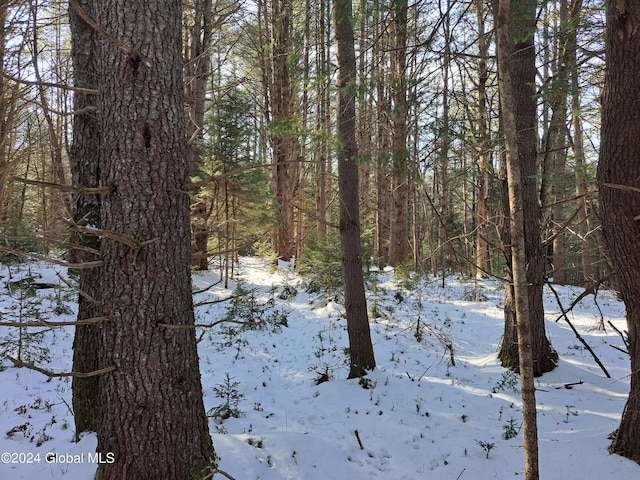L17 Rice Rd, Hope, NY 12134 - photo 42