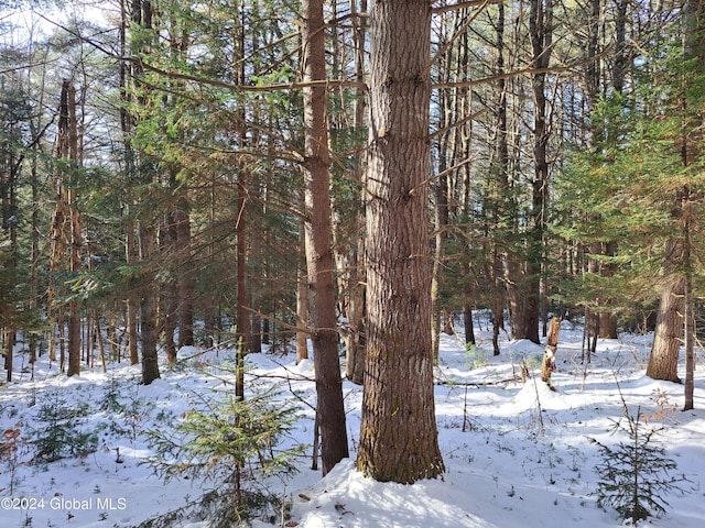 L17 Rice Rd, Hope, NY 12134 - photo 43