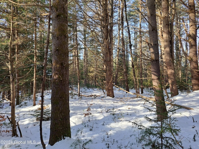 L17 Rice Rd, Hope, NY 12134 - photo 44