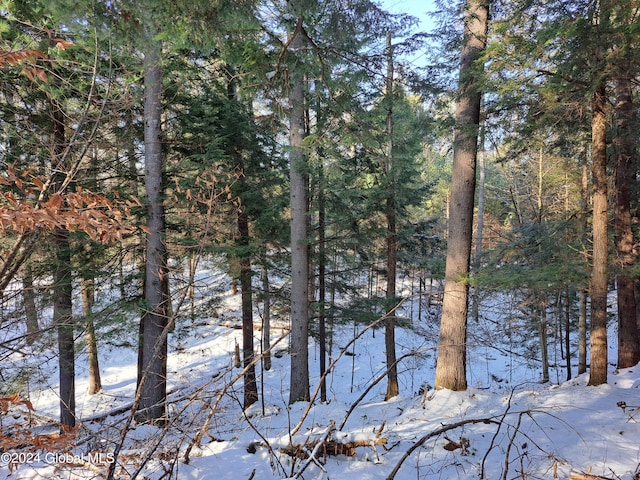 L17 Rice Rd, Hope, NY 12134 - photo 45