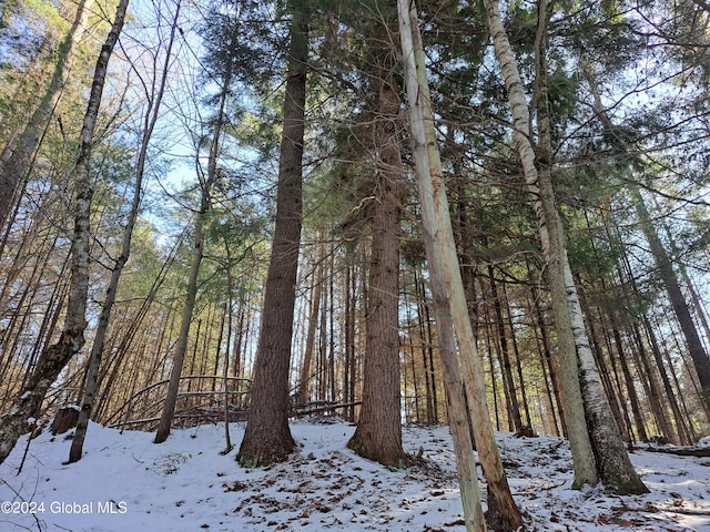 L17 Rice Rd, Hope, NY 12134 - photo 46