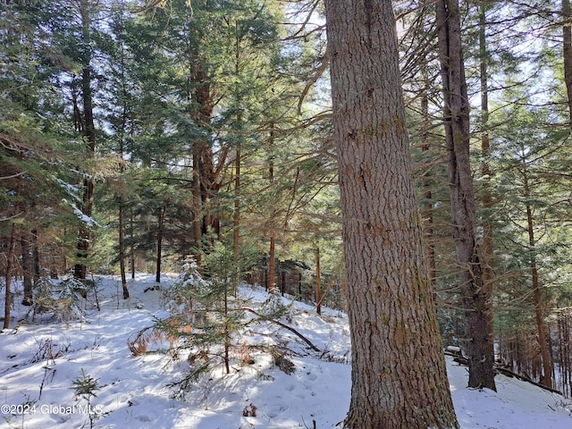 L17 Rice Rd, Hope, NY 12134 - photo 47