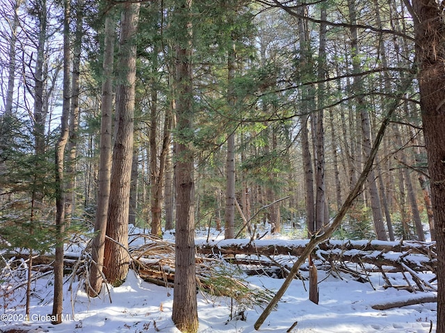 L17 Rice Rd, Hope, NY 12134 - photo 48