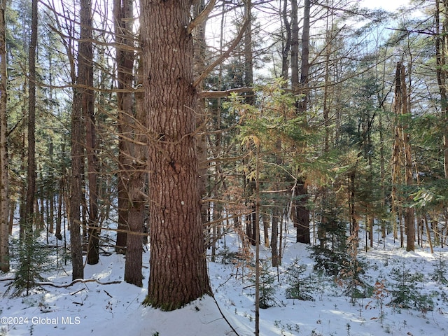L17 Rice Rd, Hope, NY 12134 - photo 49